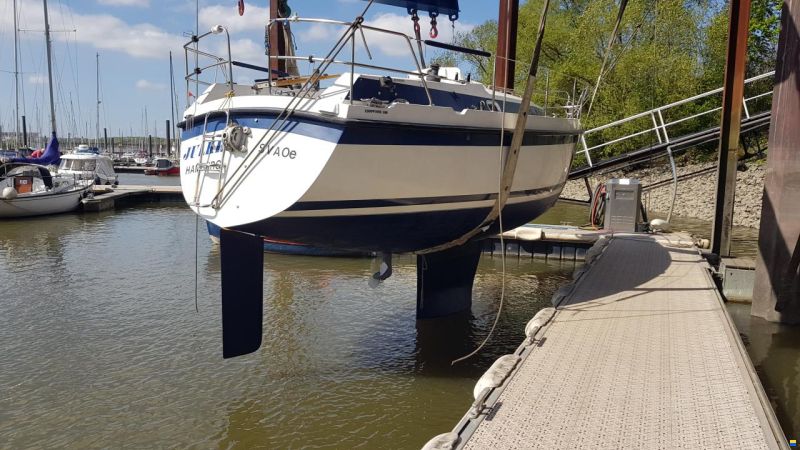 Zaadnoordijk Compromis 888