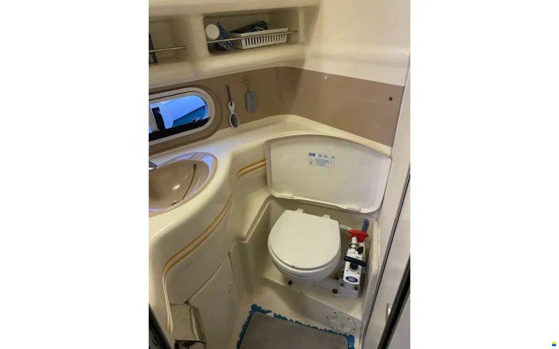 Sealine 350 Fly