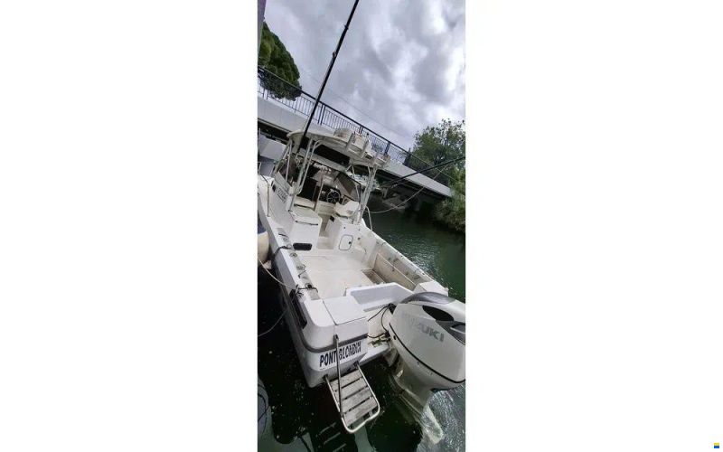 Bayliner Trophy 2502