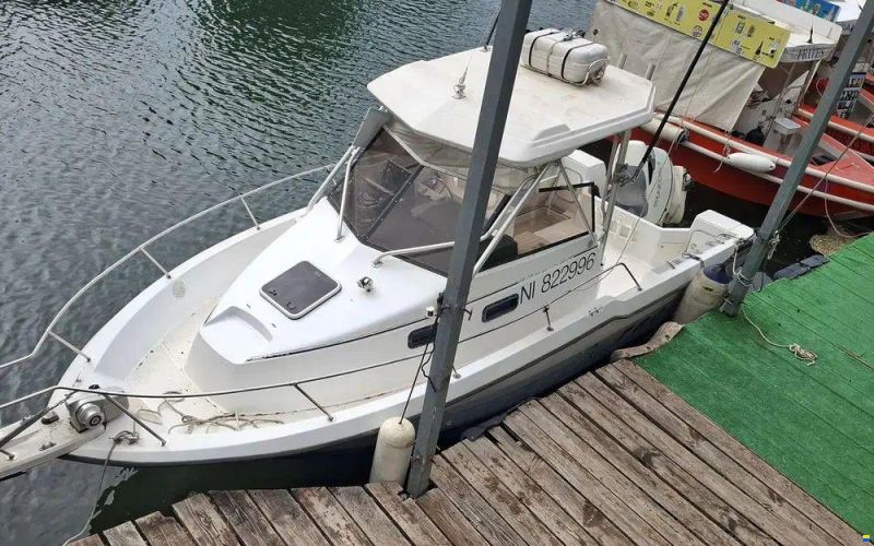 Bayliner Trophy 2502