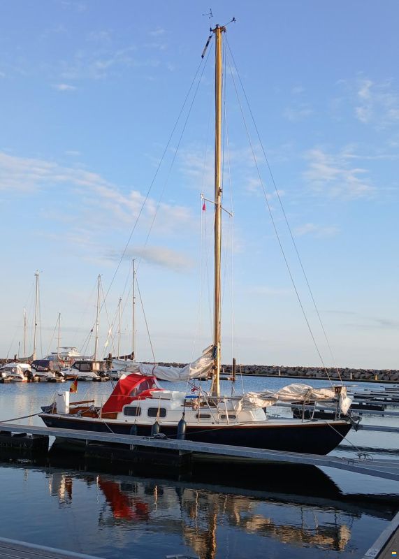 Halcyon 27