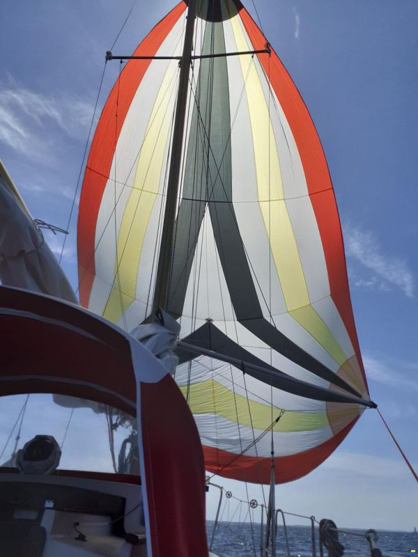 Halcyon 27