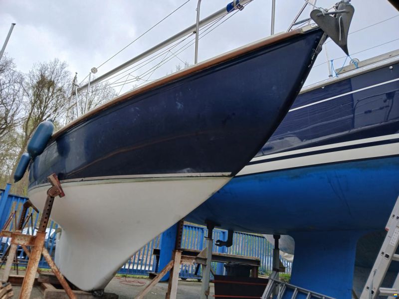 Halcyon 27