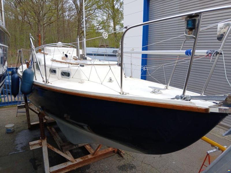 Halcyon 27
