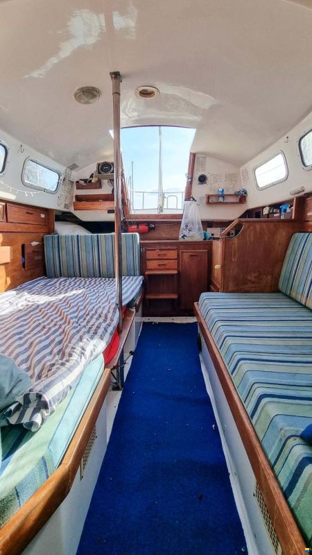 Shipman 28