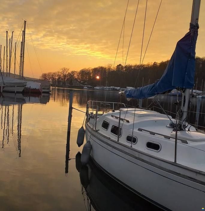 Shipman 28