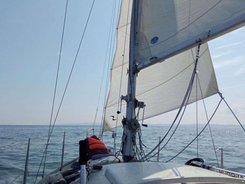 Shipman 28