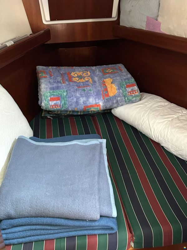 Oceanic Clipper 361