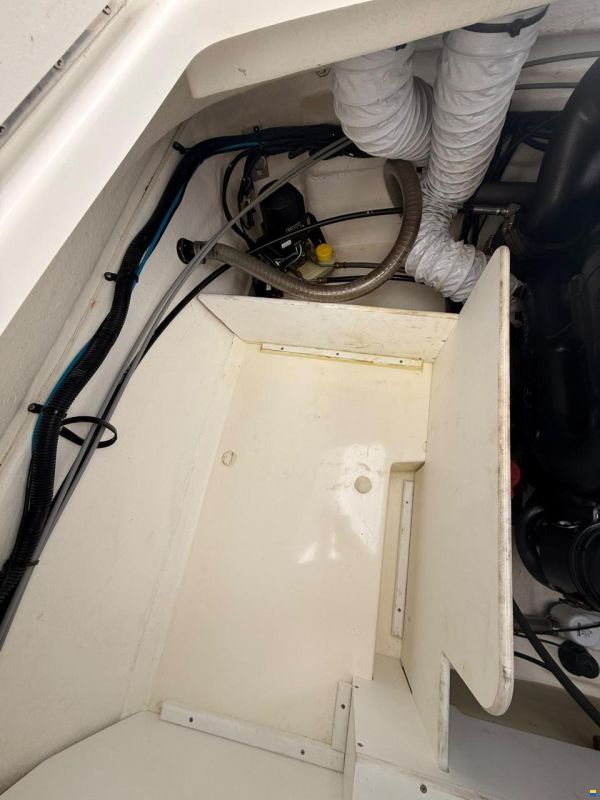 Sea Ray 190 Sport