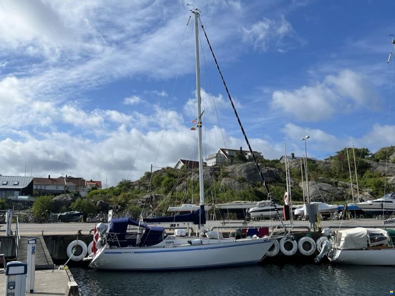 Forgus 31