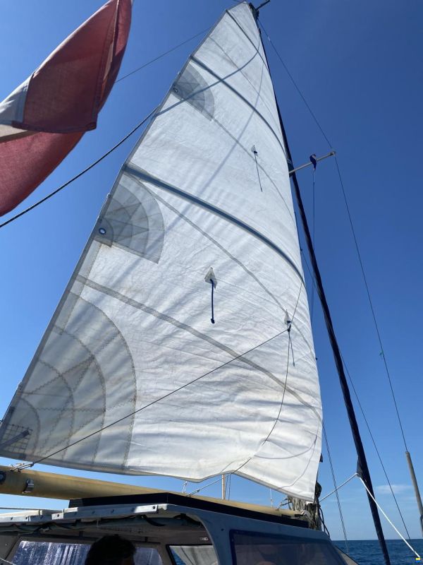 Catalac 9m