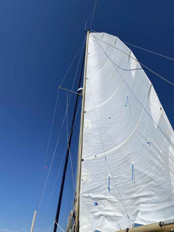 Catalac 9m
