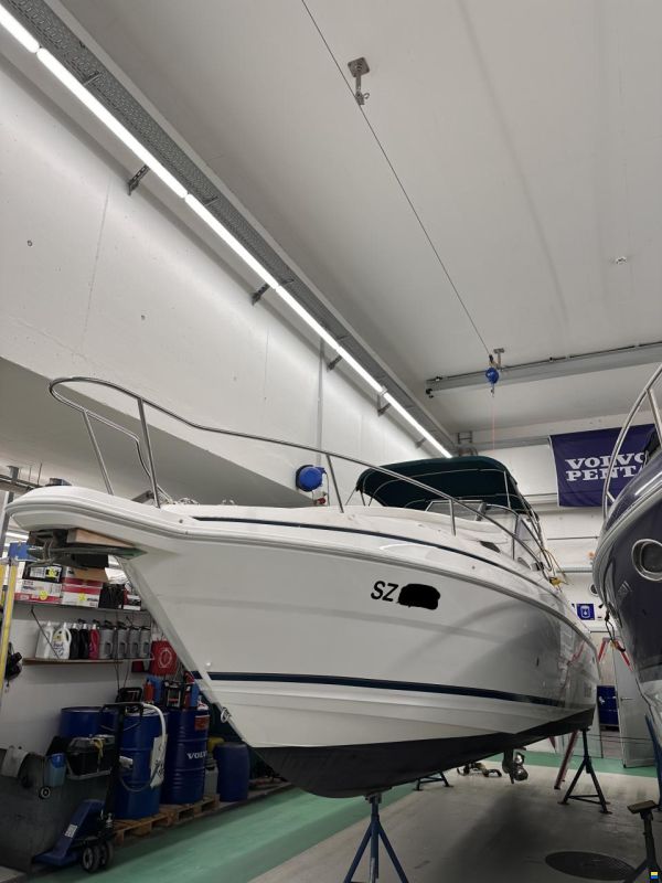 Wellcraft Excel 260 SE