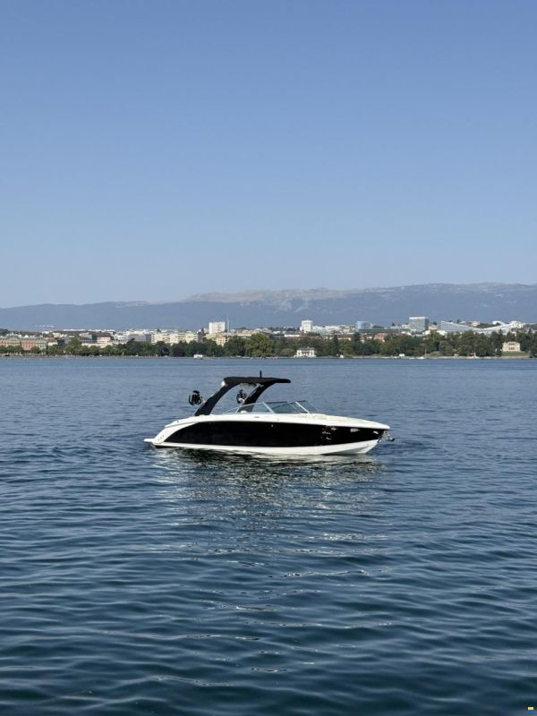 Cobalt R7 surf