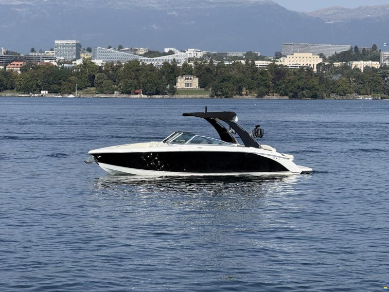 Cobalt R7 surf