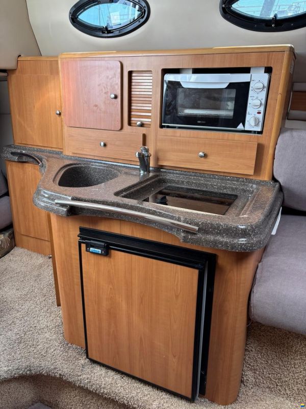 Glastron 289 GS
