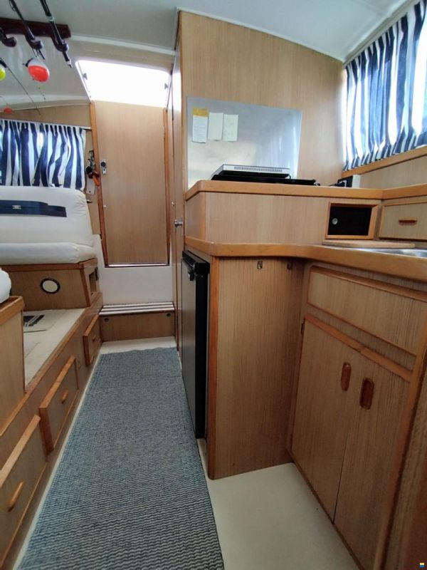 Bertram 28 Flybridge