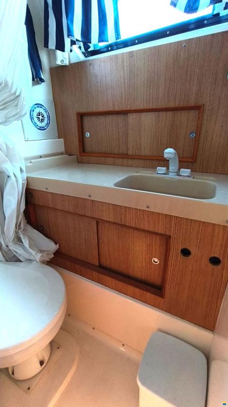 Bertram 28 Flybridge