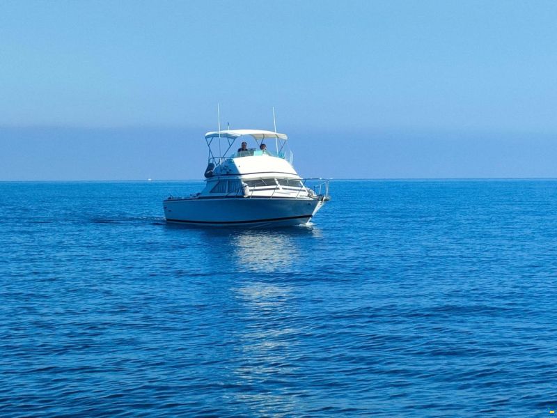 Bertram 28 Flybridge