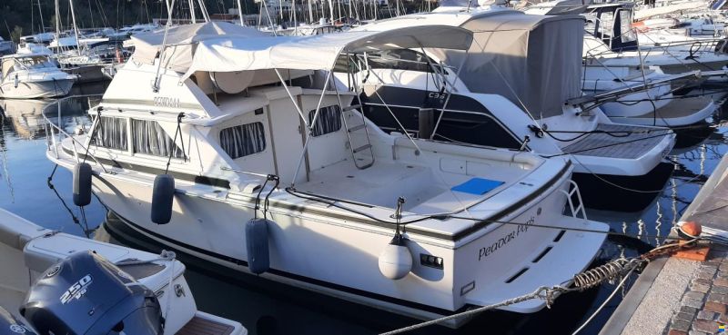 Bertram 28 Flybridge