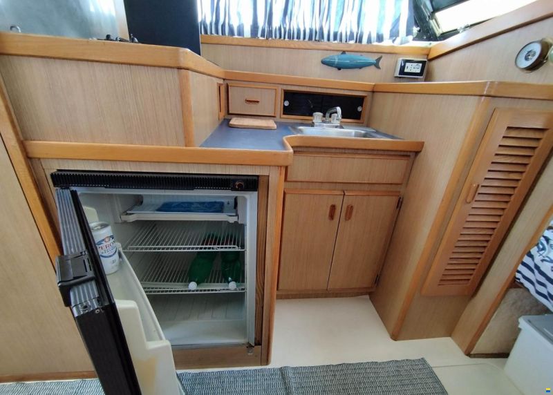 Bertram 28 Flybridge