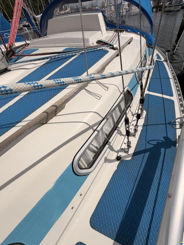Colina L29