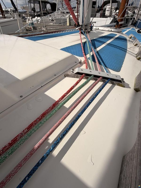 Colina L29