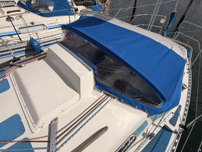 Colina L29