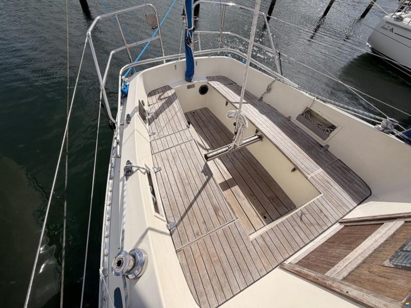 Colina L29