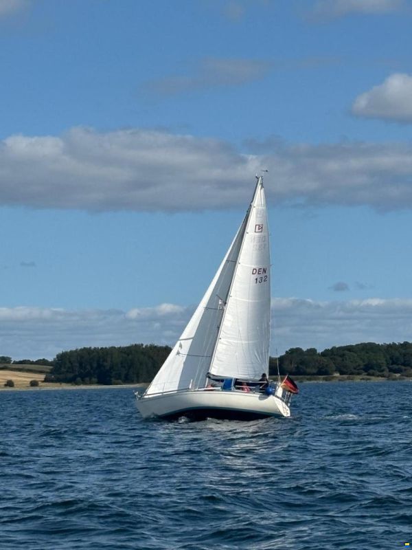 Colina L29