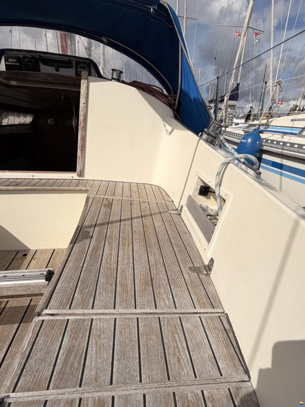 Colina L29