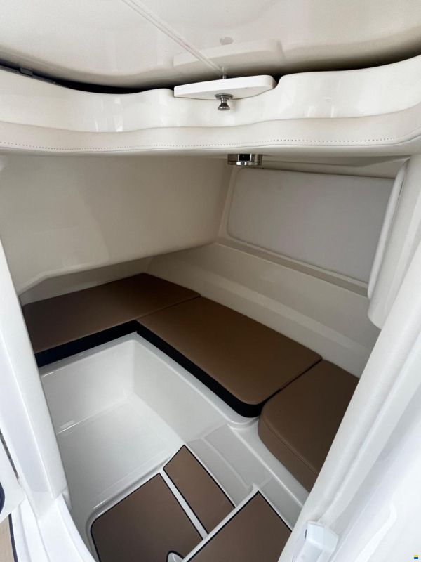 Sea Ray SDX 230