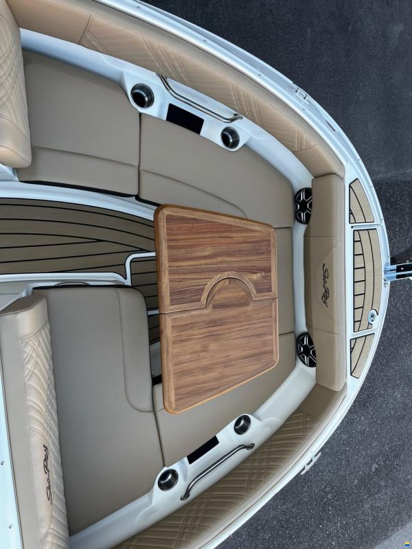 Sea Ray SDX 230