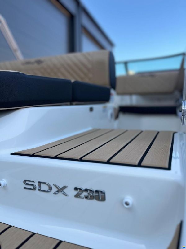 Sea Ray SDX 230
