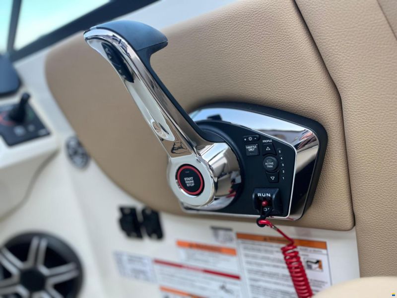 Sea Ray SDX 230