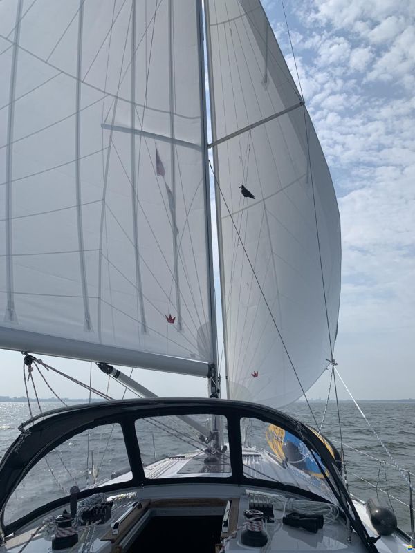 Bavaria 41 Cruiser (Eignerversion)