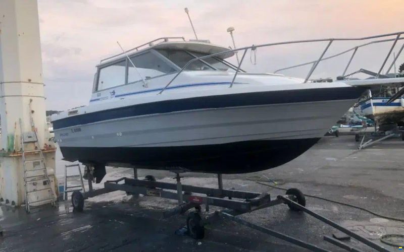 Bayliner Trophy 2159