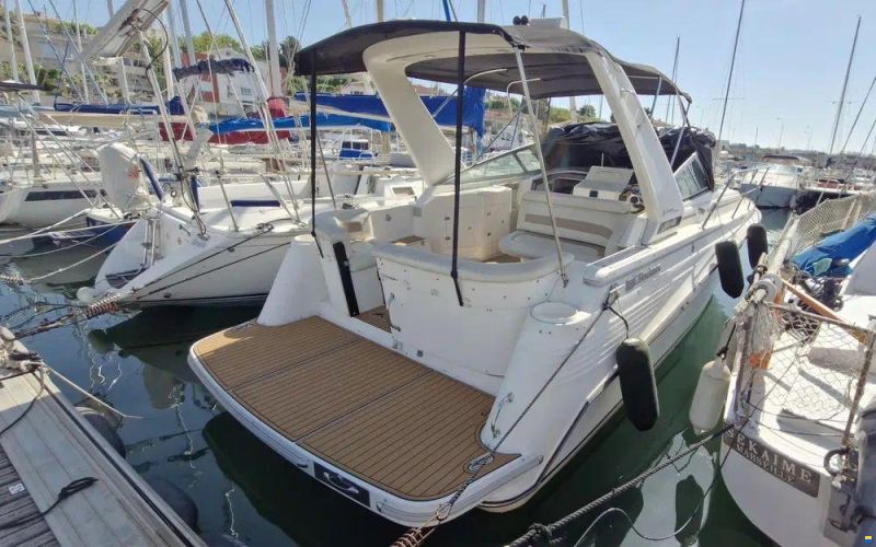 Cruisers 3070 Rogue
