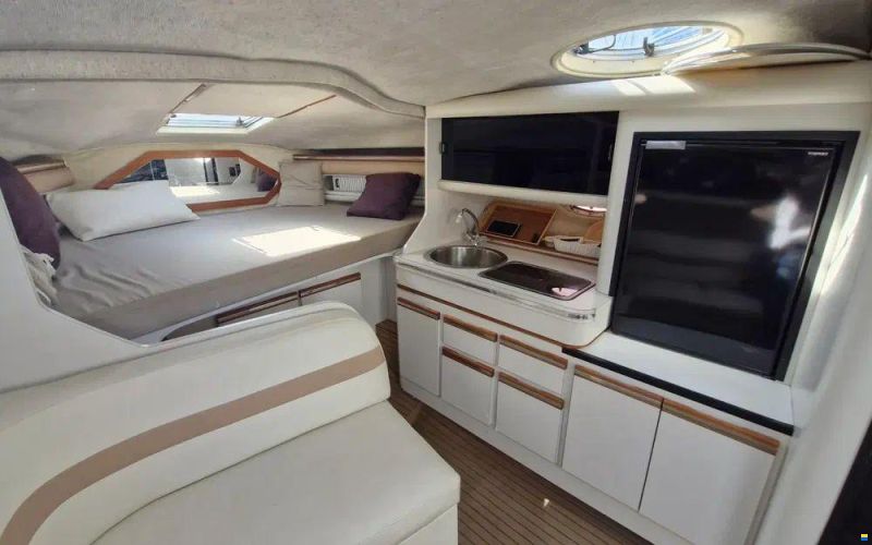 Cruisers 3070 Rogue