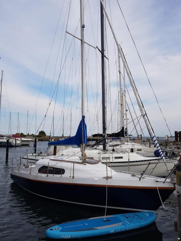 Sirius Waran 28