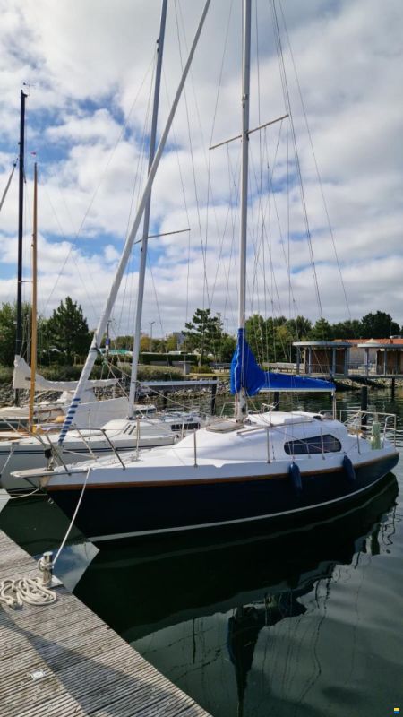 Sirius Waran 28