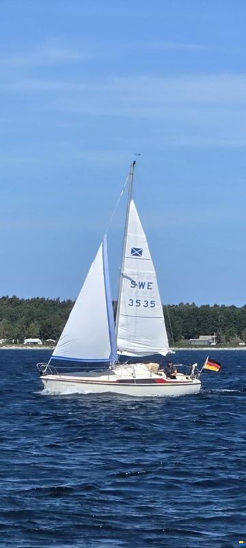 Maxi 77