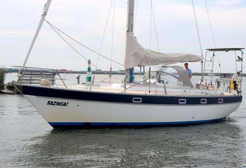 Trintella 38