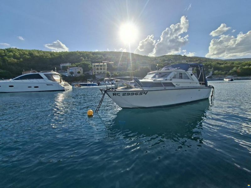 Coronet Family 24