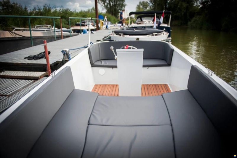 Maxima 490 Electric