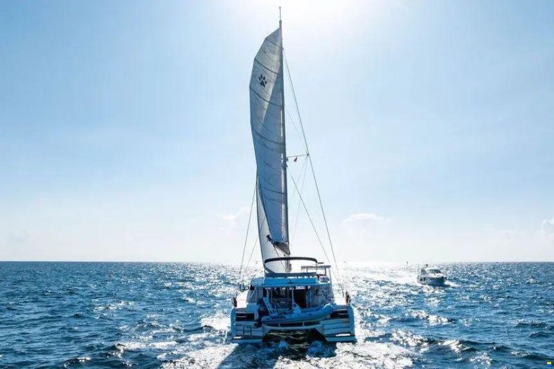Leopard 50