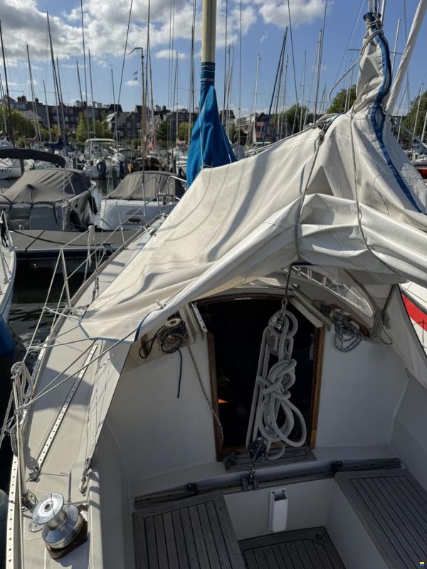 Spirit 28