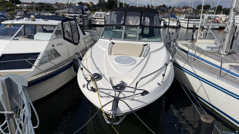 Monterey 290