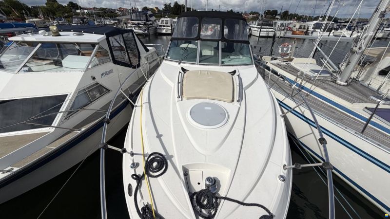Monterey 290
