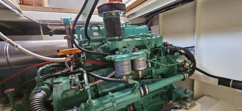 Bekebrede Danish Rose 11.20 AK Cabrio